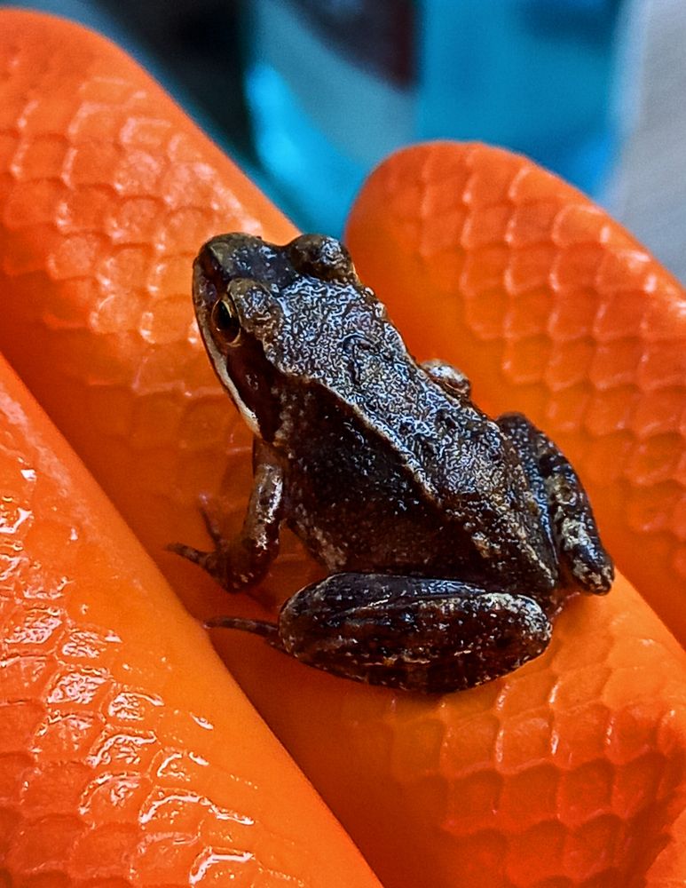 Photograph by Оксана Макарова