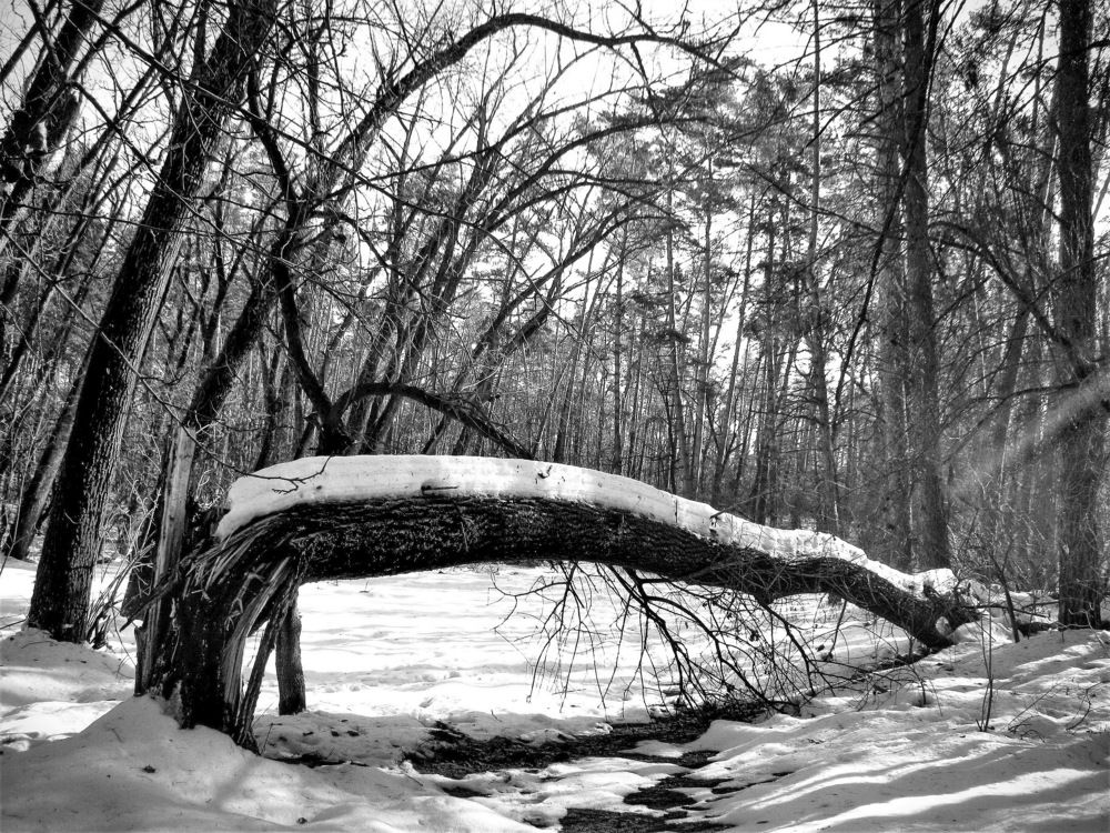 Поверженный.