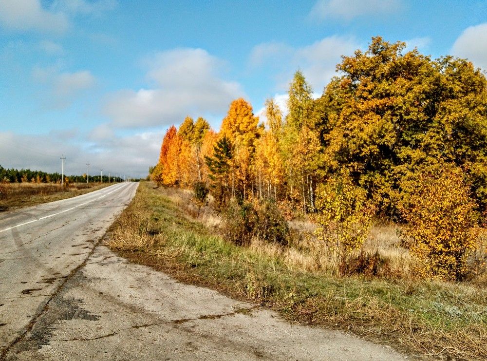 Photograph by Федоренко Элеонора