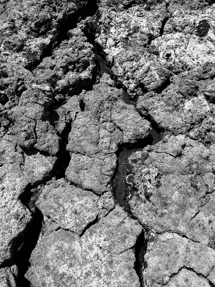 Photograph by Екатерина Чернышова