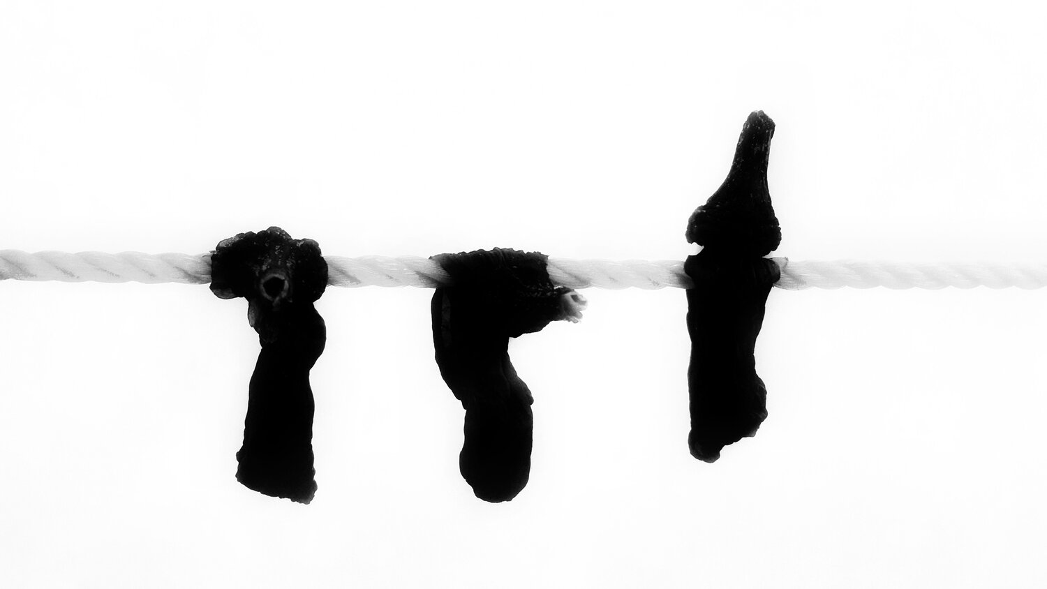 Photo #7660965