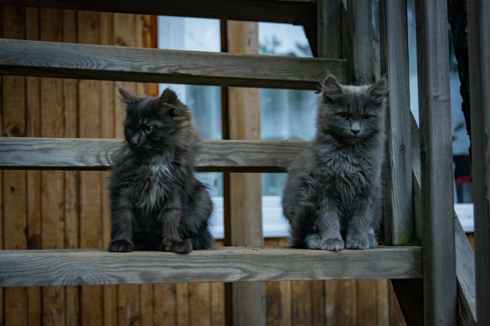 Фотография автора Оксана Белозерская