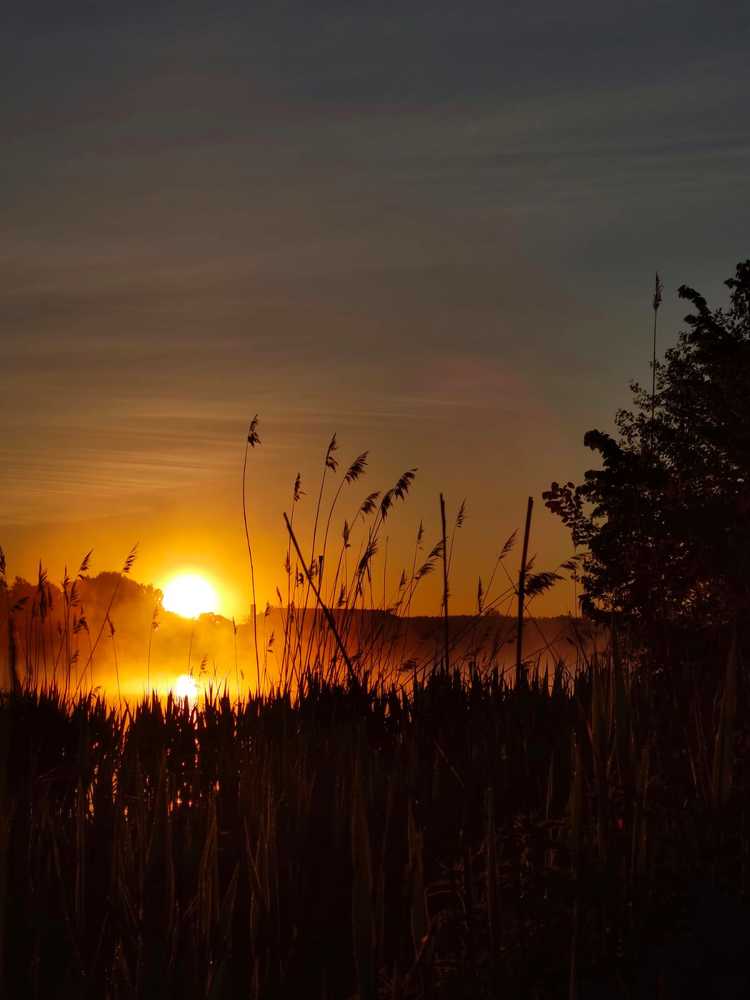 Photograph by Екатерина Мартынова