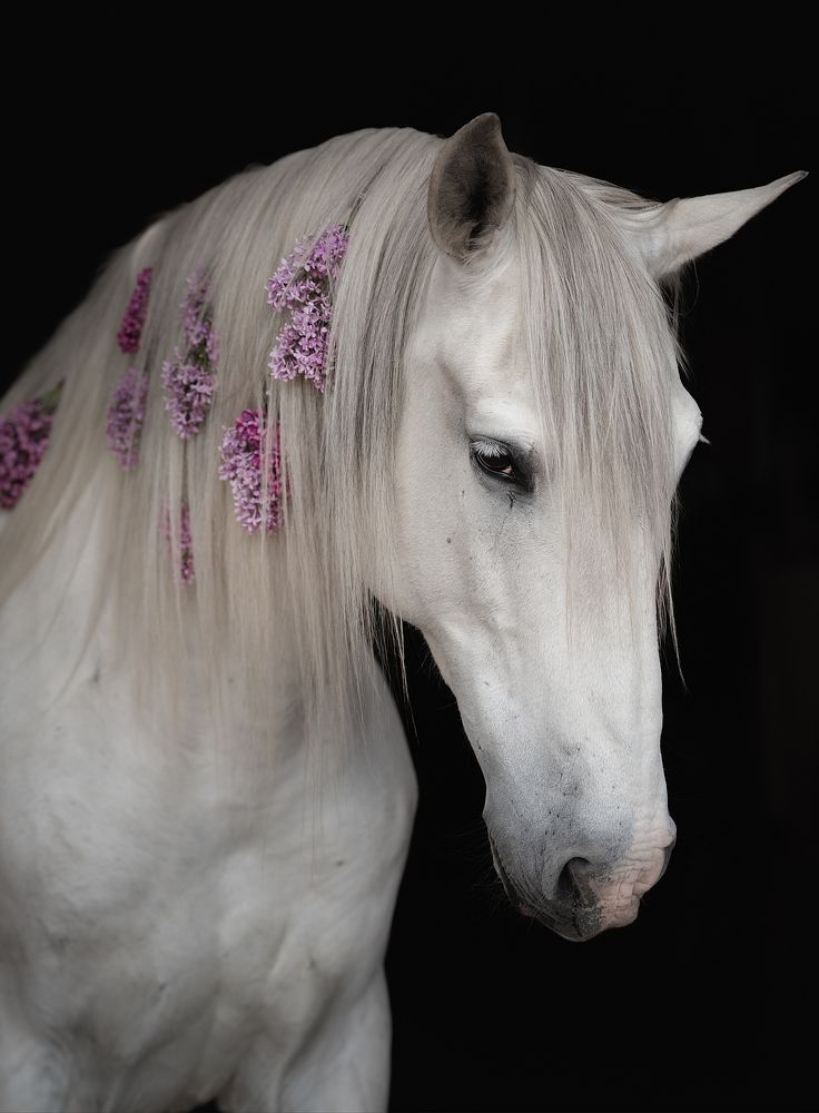 Photograph by Ирина Пиманова