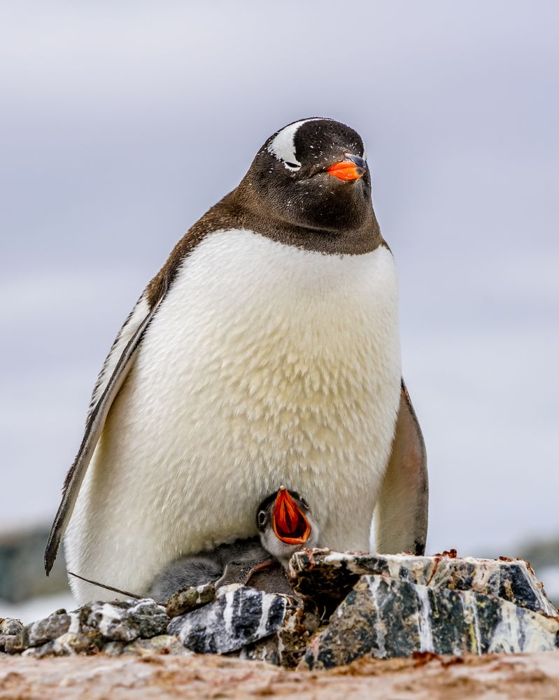 Photograph by Илья Труханов