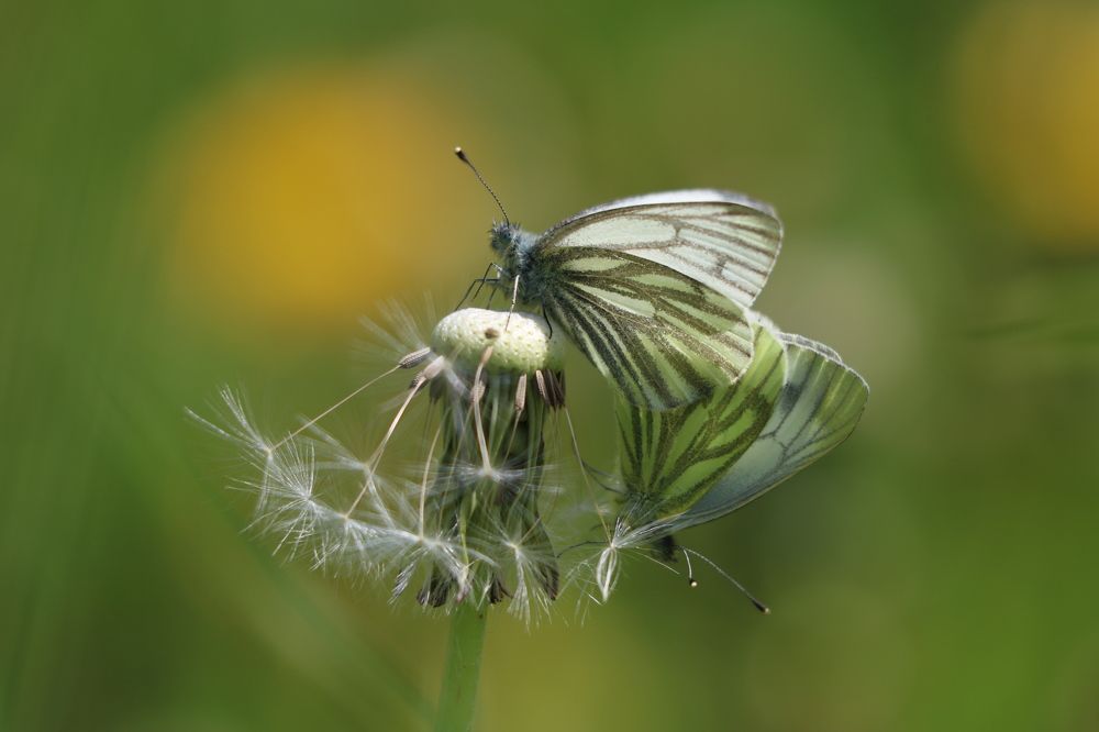 Photograph by Евгений Пакулов