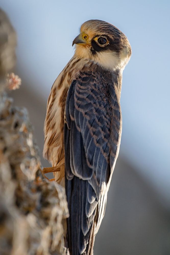 Photograph by Сарапулов Игорь