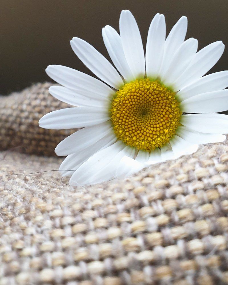 Photograph by Алёна Губинская