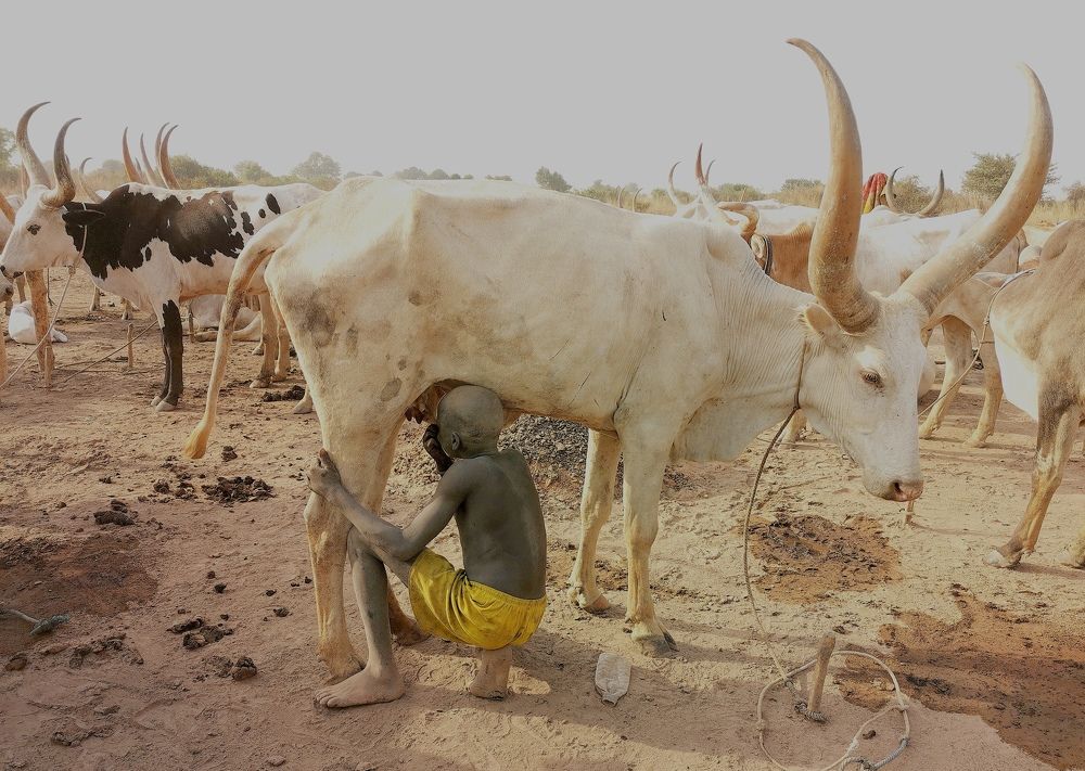 Photograph by Илья Поляк