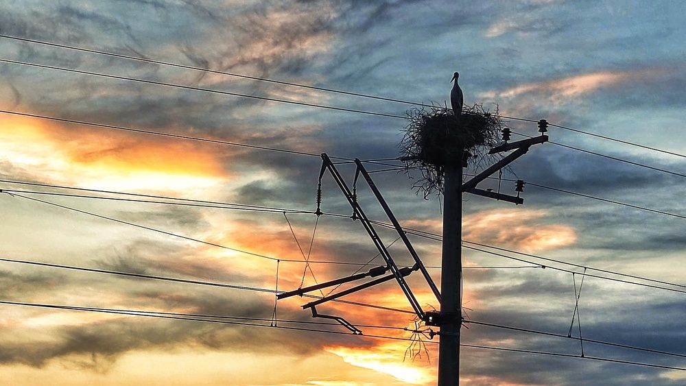 Photograph by Айдын Мехтиев