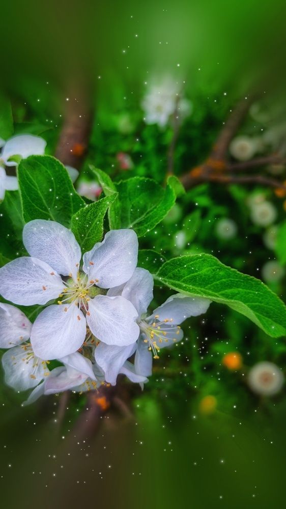 Photograph by Алла Холодова