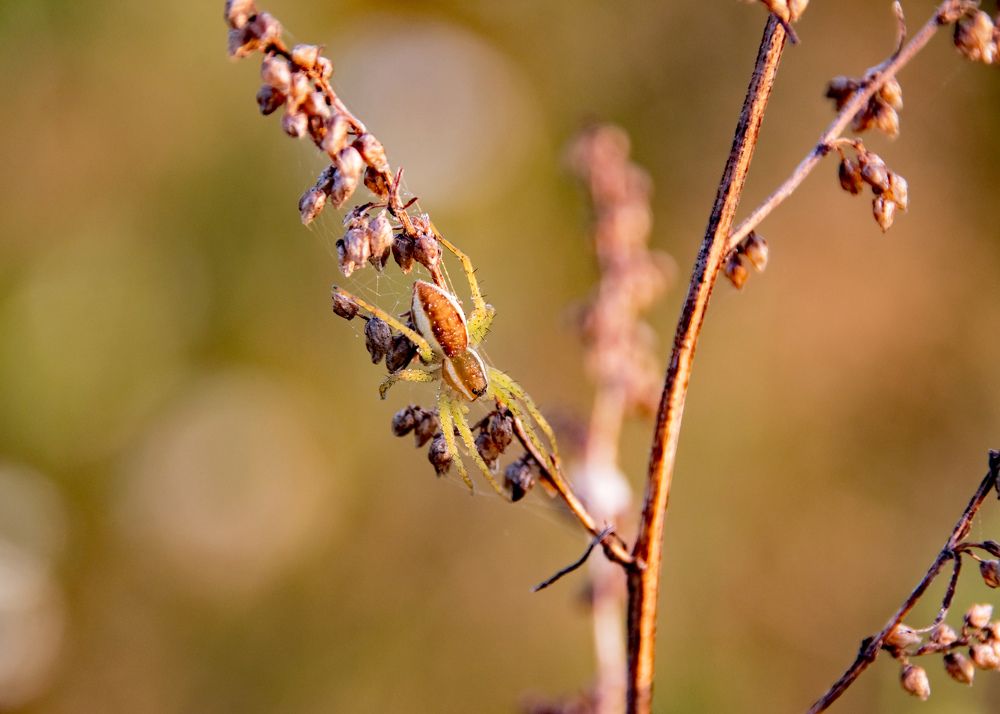 Photograph by Александр Козин