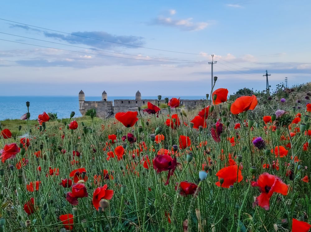 Photograph by Лариса Когтева