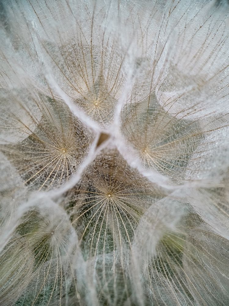 Photograph by Лариса Когтева