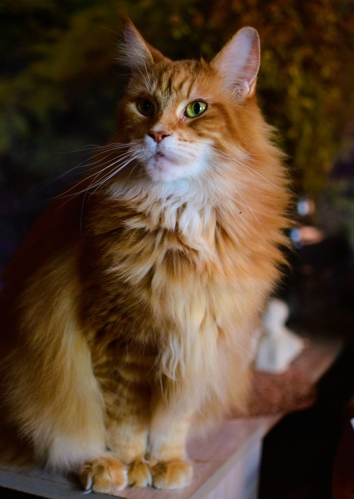 Фотография автора Альбина Хвастунова