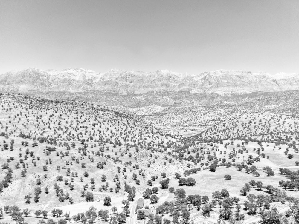 Photograph by AryoBarzan Garmsiri