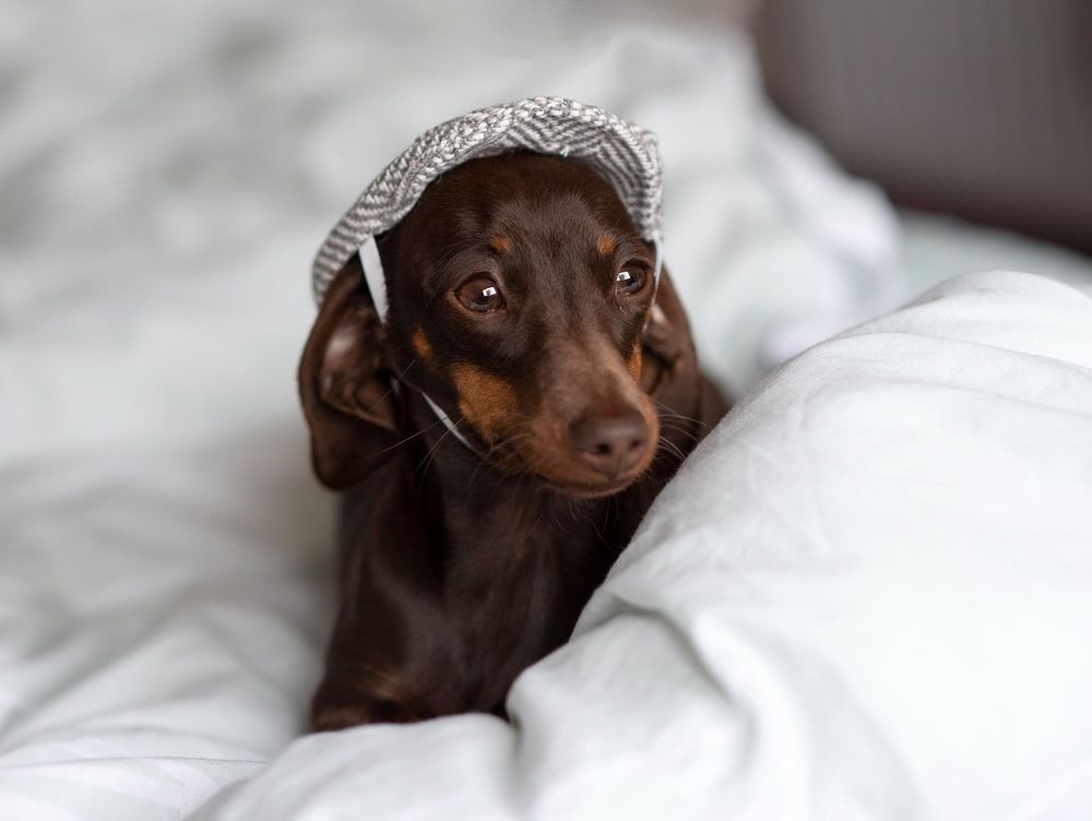 Photograph by Agnes Veres