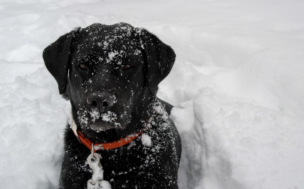 Photograph by Ольга Ситникова