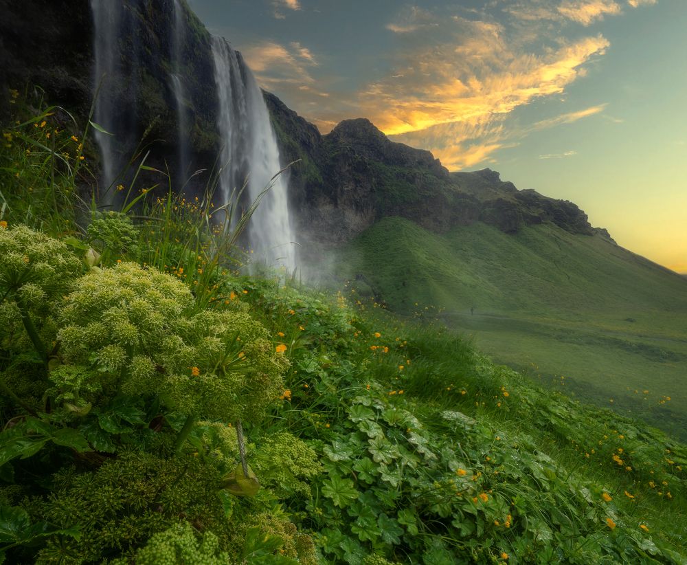 Seljalandsfoss