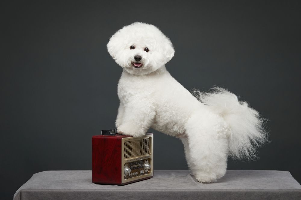 Photograph by Лана Полякова