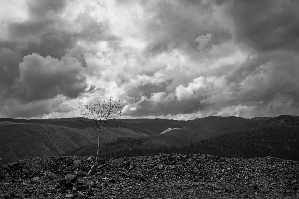 Photograph by Елена Ласун