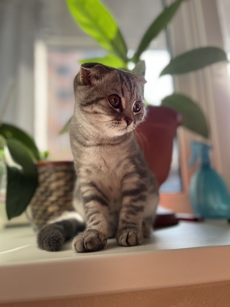 Photograph by Константин
