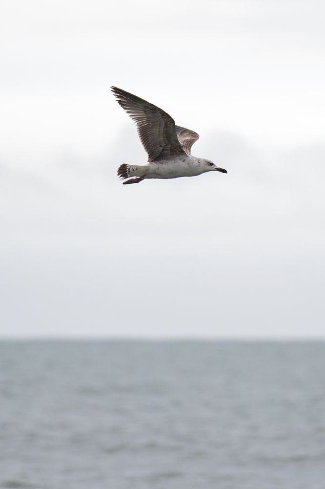 Photograph by Марлен Маан