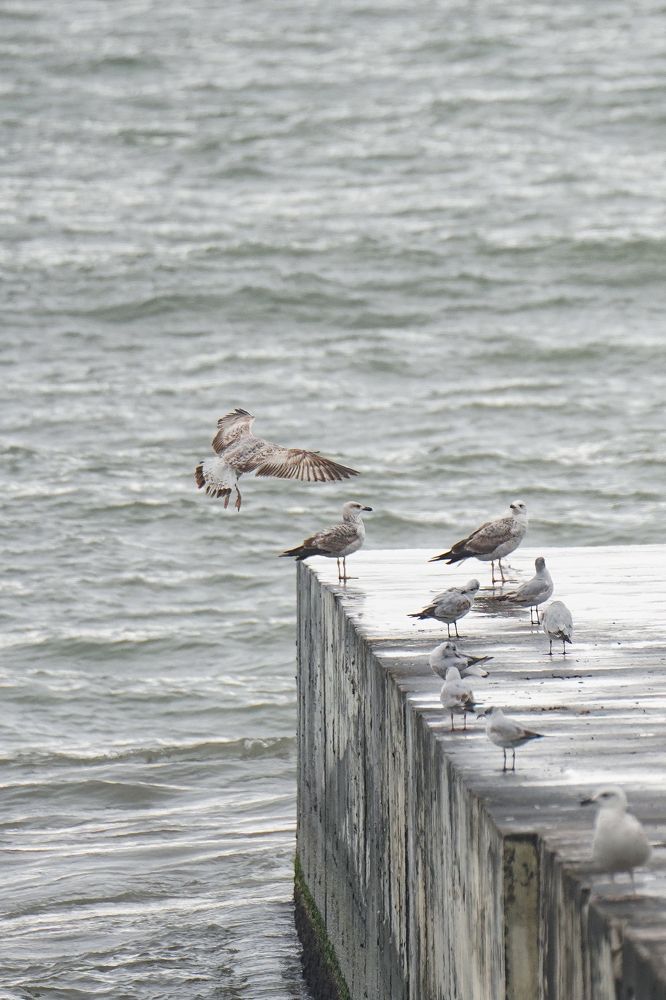 Photograph by Марлен Маан