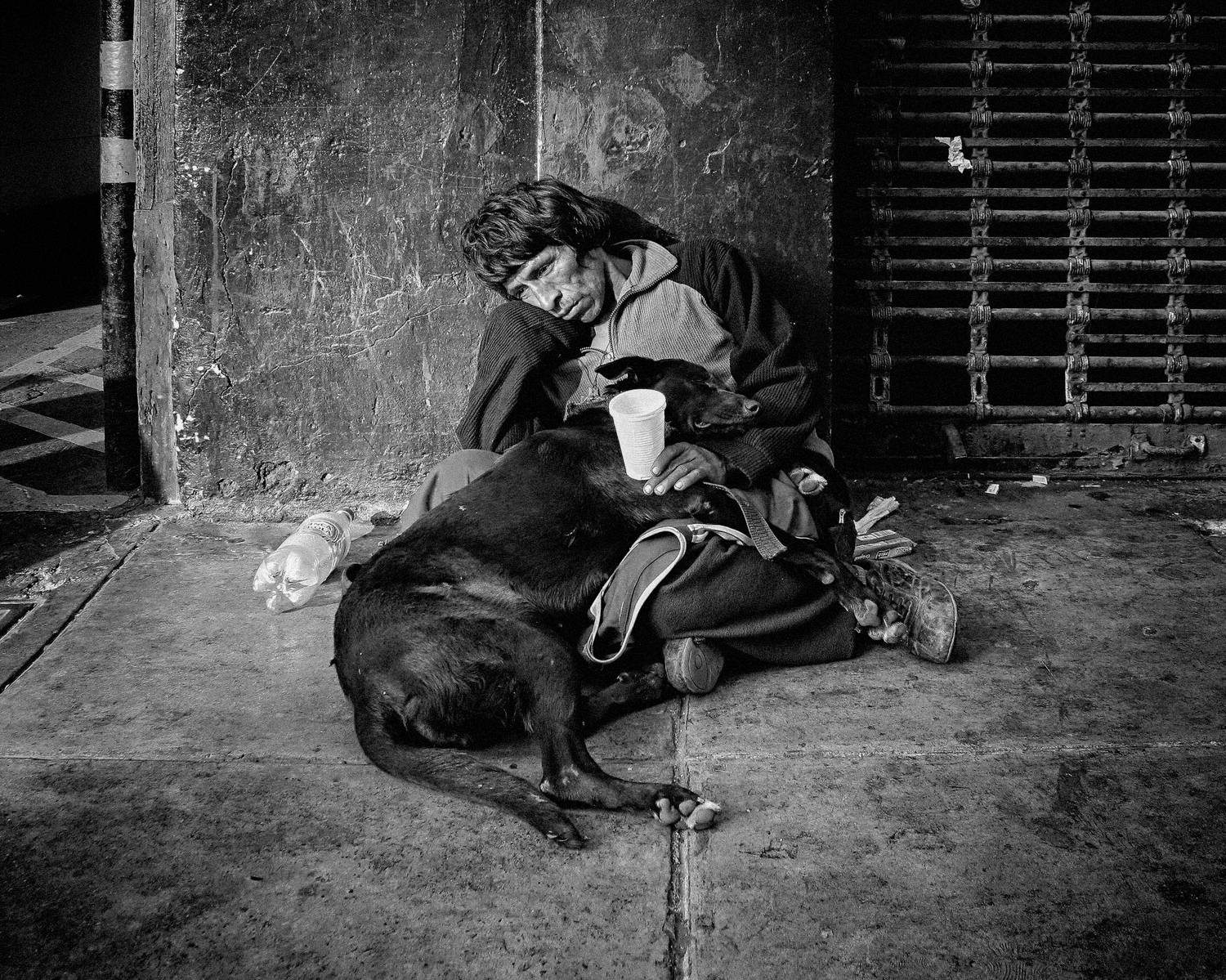 Photo #7661557