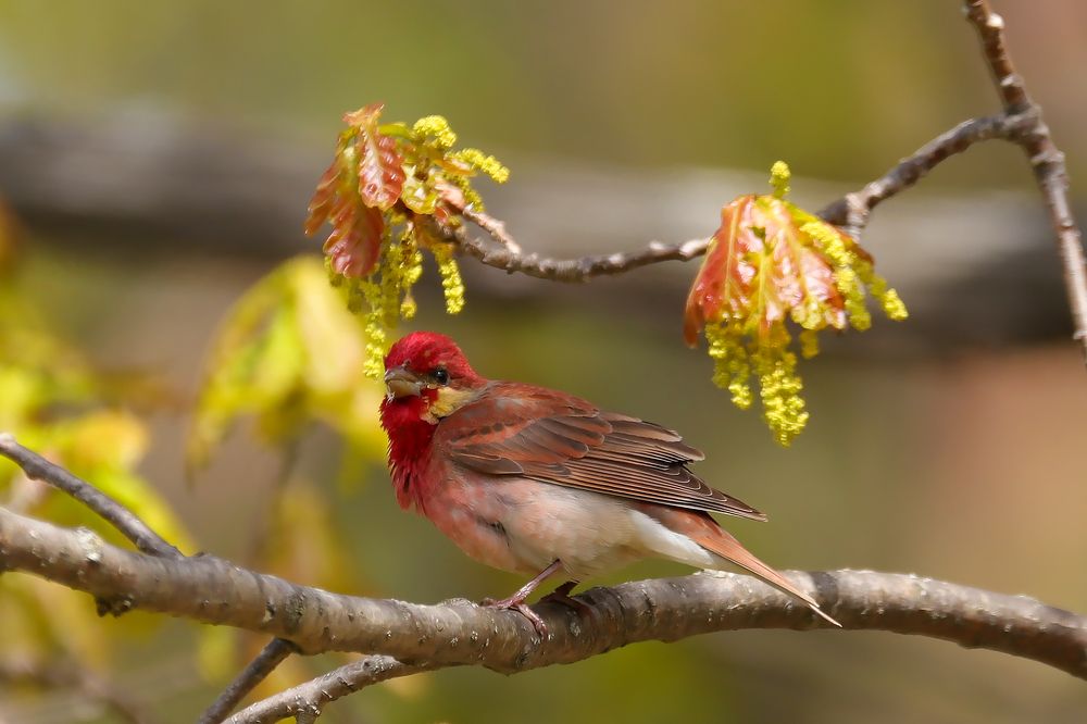 Photograph by Алексей