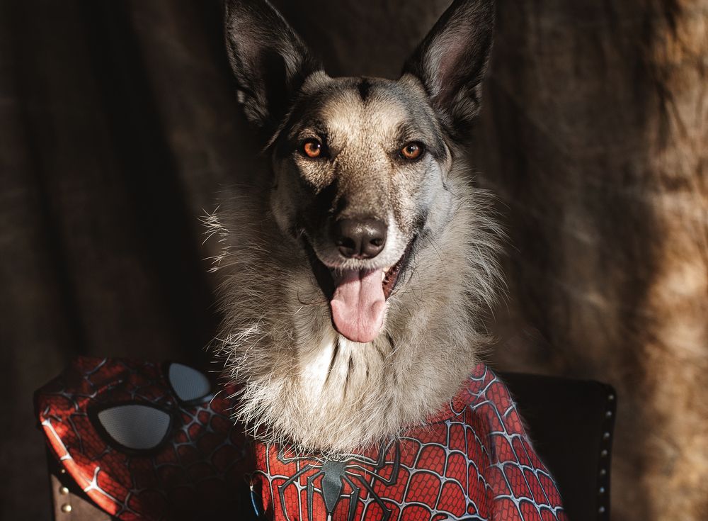 Photograph by Евгения Гловацкая