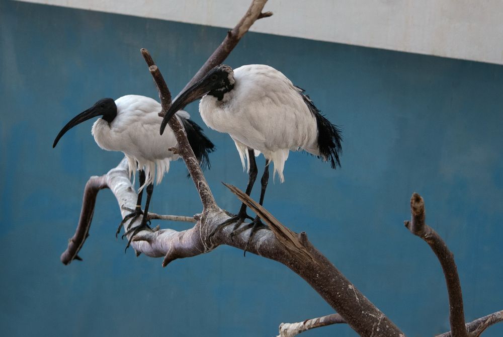 Photograph by Евгения Гловацкая