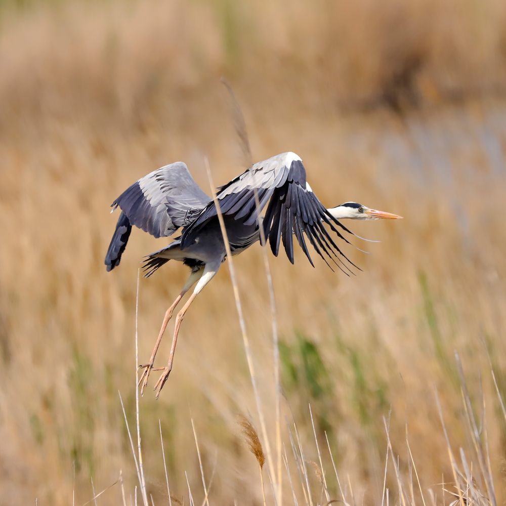 Photograph by Алексей