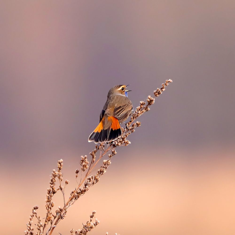 Photograph by Алексей