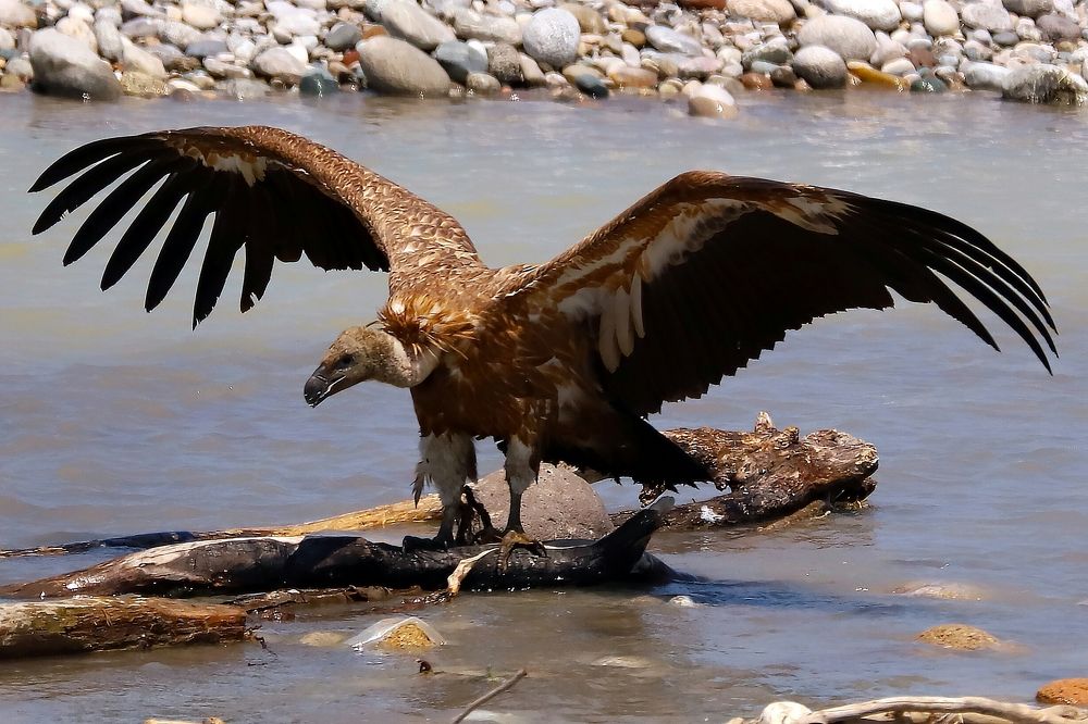 Photograph by Алексей