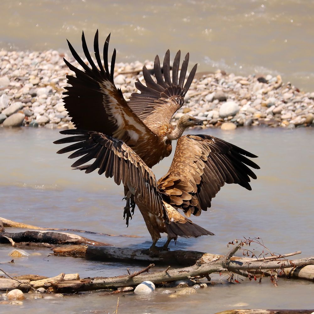 Photograph by Алексей