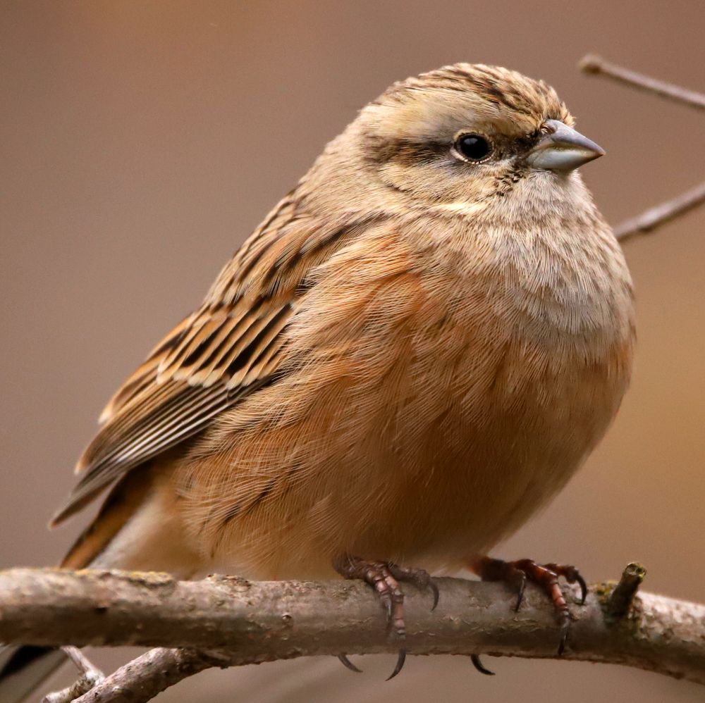 Photograph by Алексей