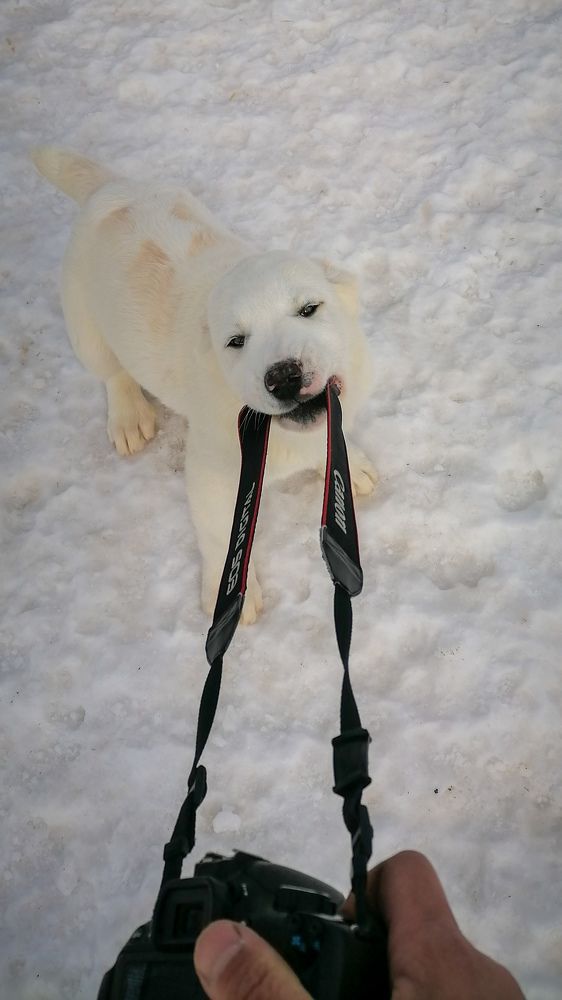 Photograph by Андрей Фадеев