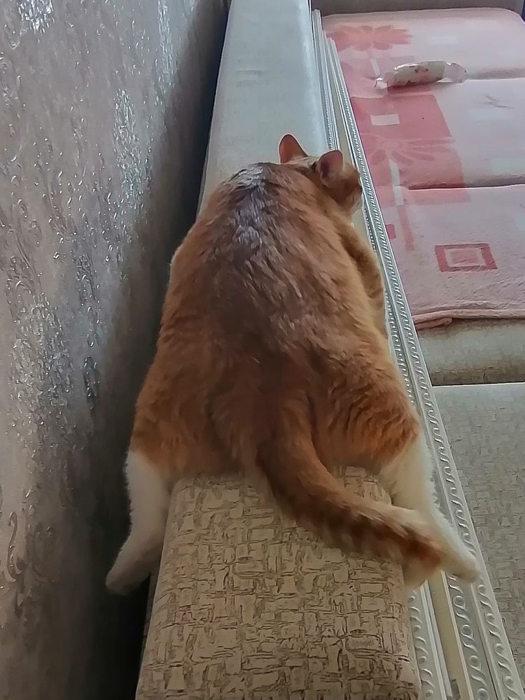 Photograph by Андрей Фадеев