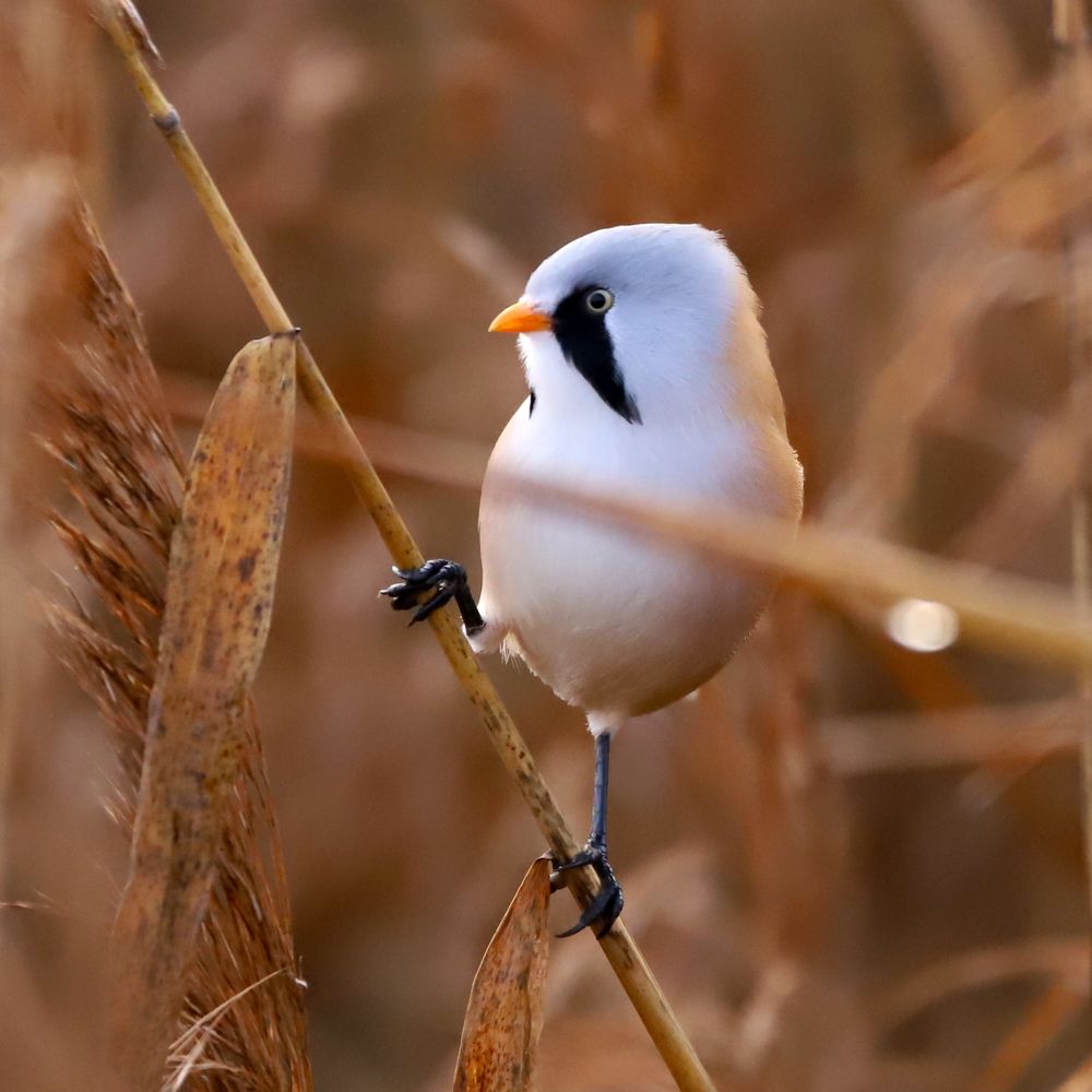 Photograph by Алексей