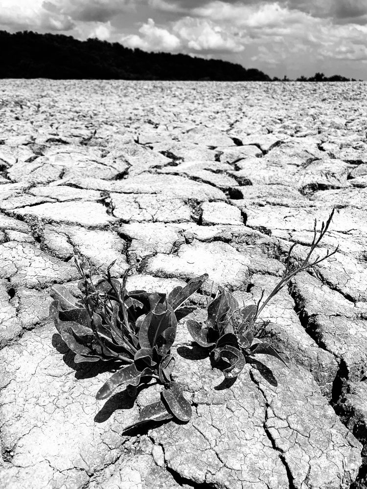 Photograph by Екатерина Чернышова