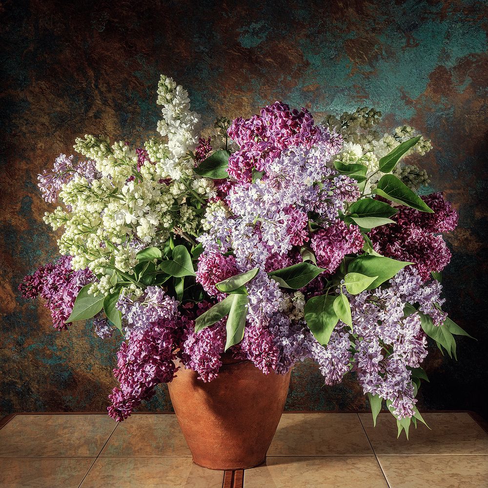 Photograph by Сергей Морозов