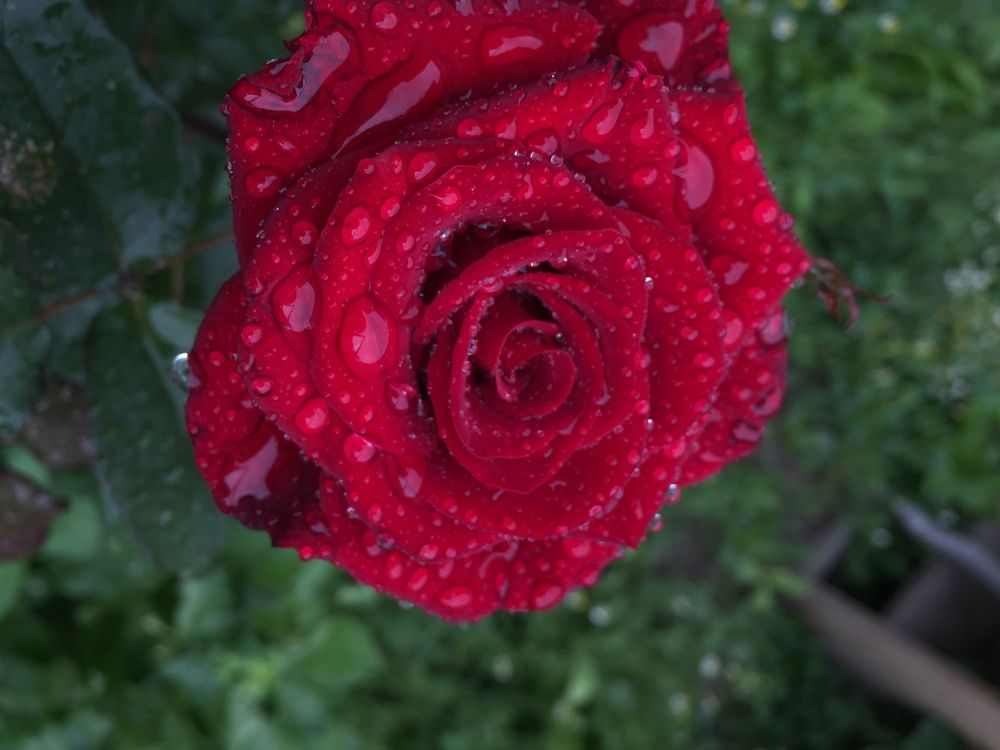 Фотография автора Алянур Юлдашева