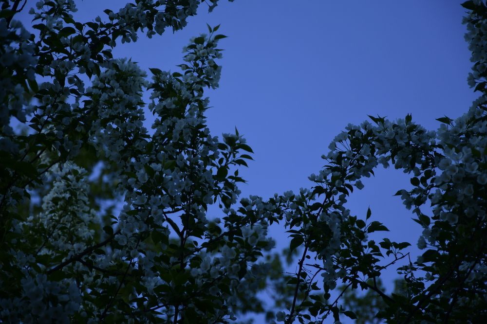 Photograph by Дмитрий