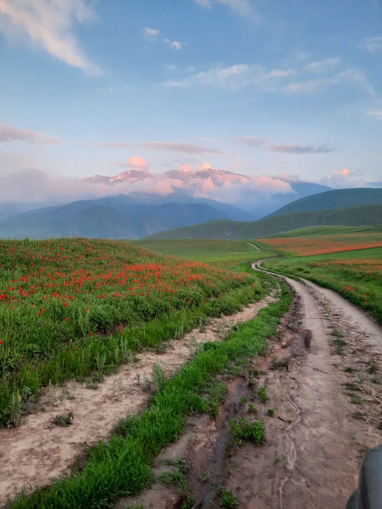 Photograph by Георгий Иванов