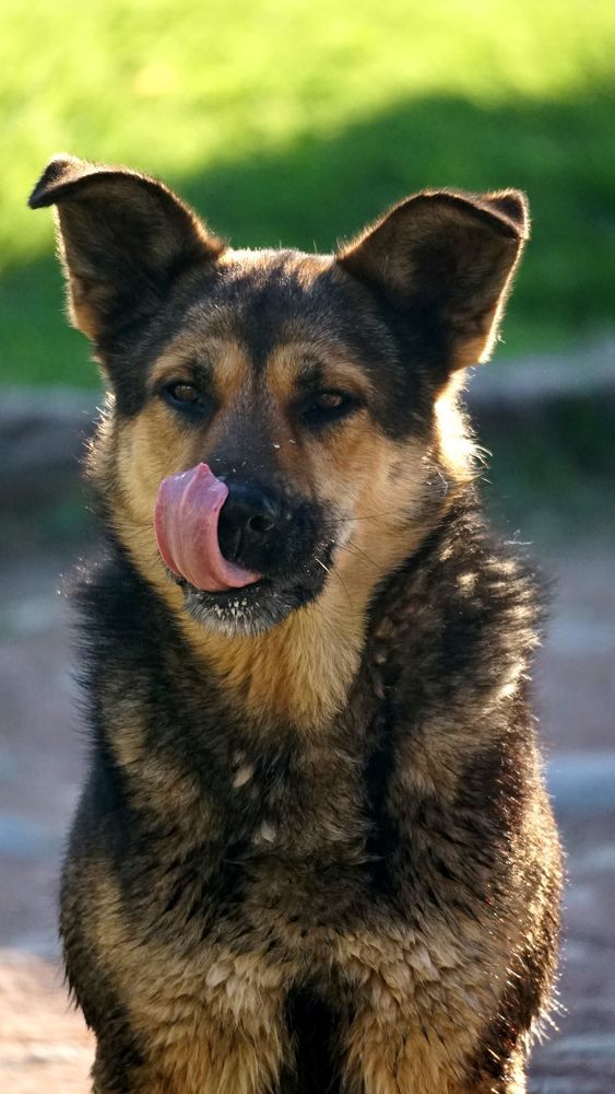 Photograph by АНДРЕЙ ОБРЯДОВ