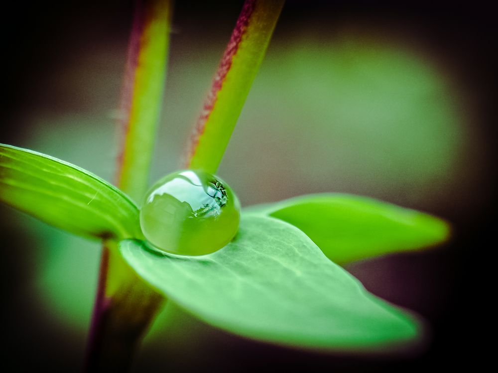 Photograph by mikhail goryachev