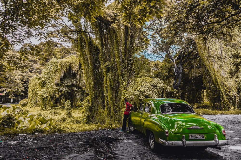 Photograph by Дмитрий Трепольский