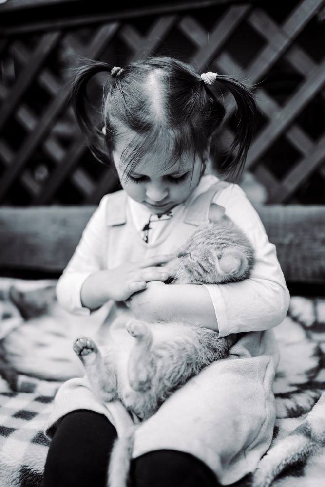 Photograph by Bugalete Nicu