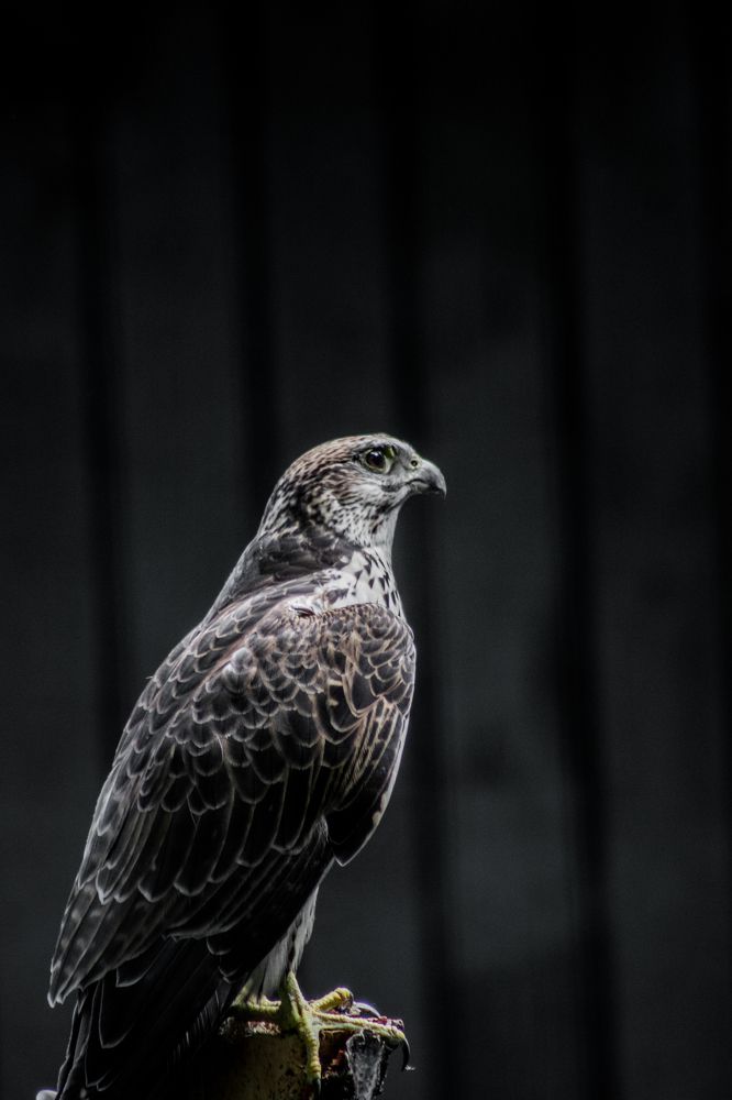 Photograph by Дмитрий Растихин